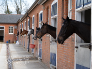 EL080425-20 - Emma Lavelle Stable Visit